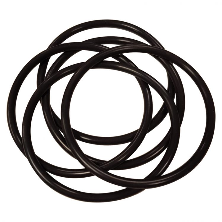 Sample Well O-ring, Viton (Pack of 5) - 13740-004'